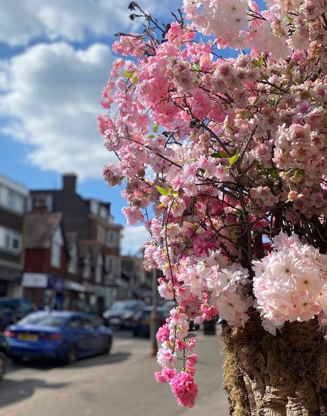 Shopping in Oxted in the Spring