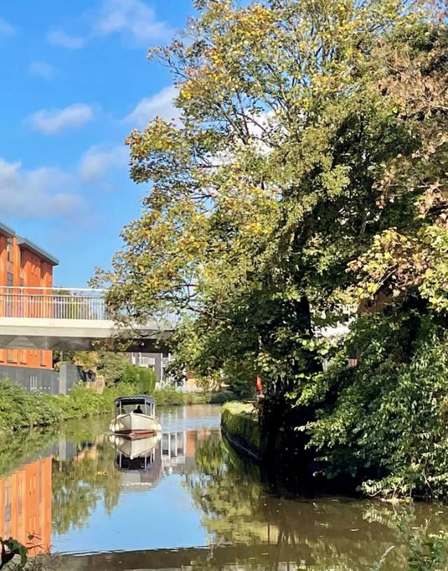 A boat trip along the River Wey