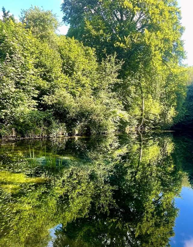Silent Pool - overlooking the pool in summer
