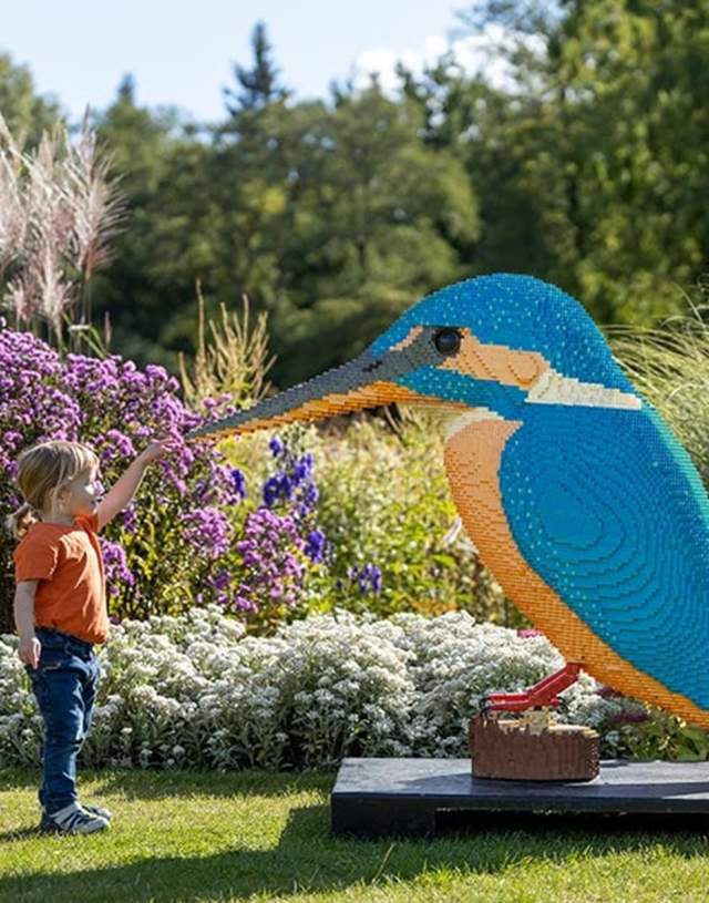 Brick Explorers at RHS Garden Wisley Summer 26