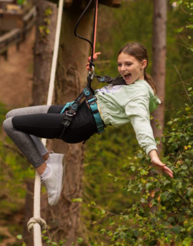 Go Ape Alice Holt Zip Wire Fun