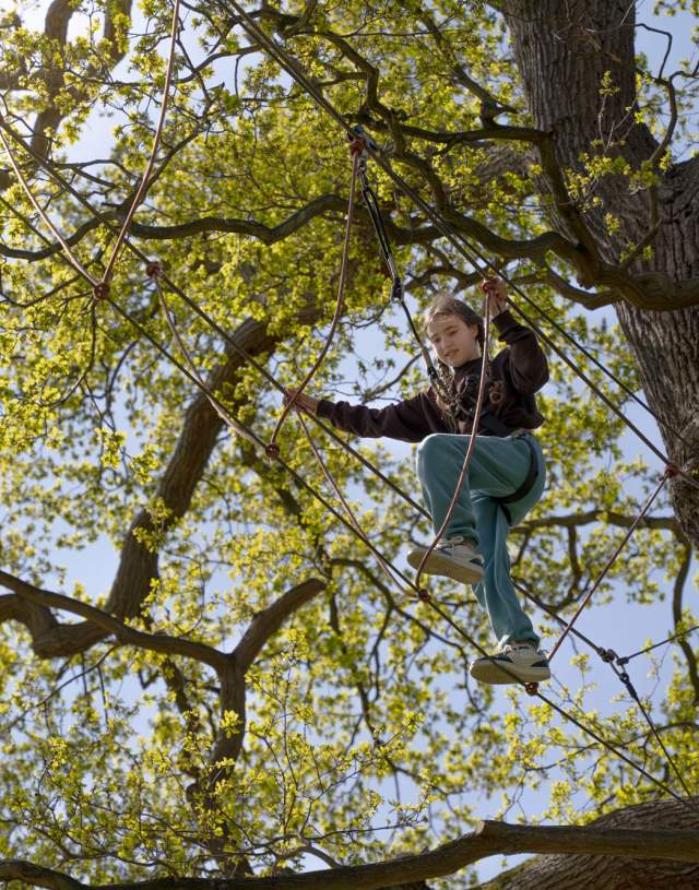 Wild Wood Adventure, Guildford