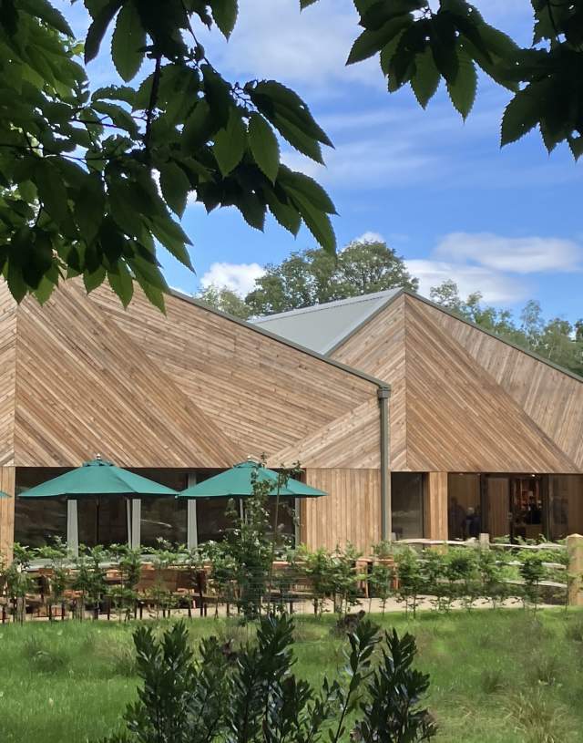 Winkworth Arboretum - National Trust Images - Hannah Elliot