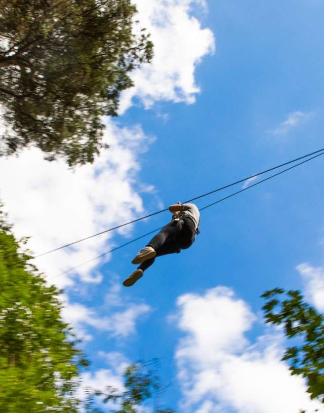 Go Ape, Farnham- Zipline