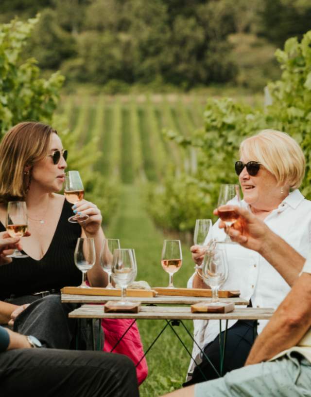 Albury Vineyard Tours and Tastings