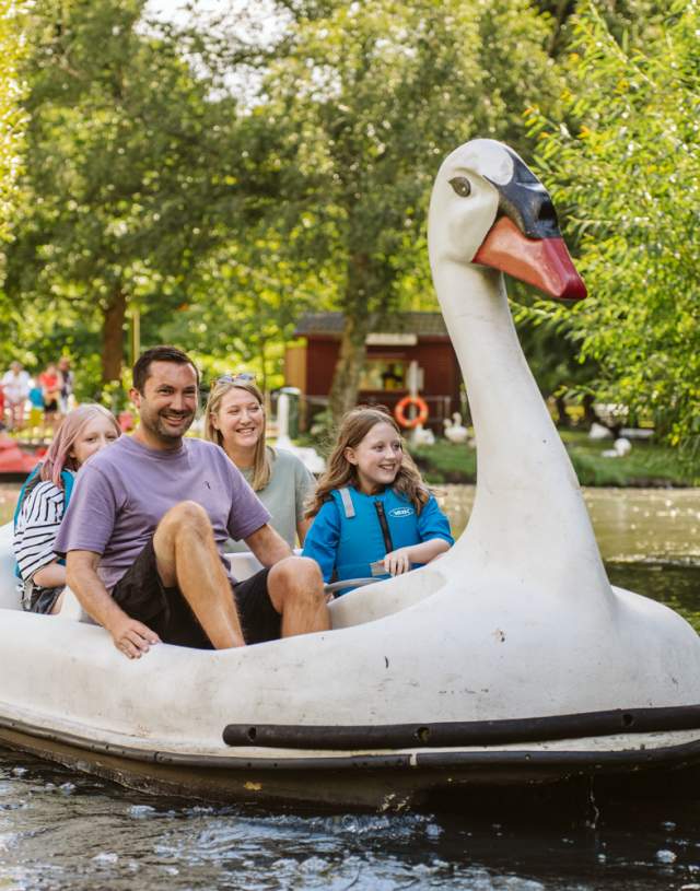 Family riding a swan pedalo in singleton park