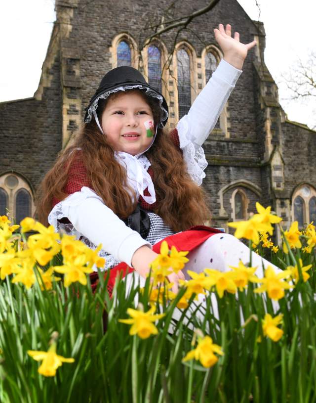 A young girl in traditional welsh costume sits in a patch of daffodils