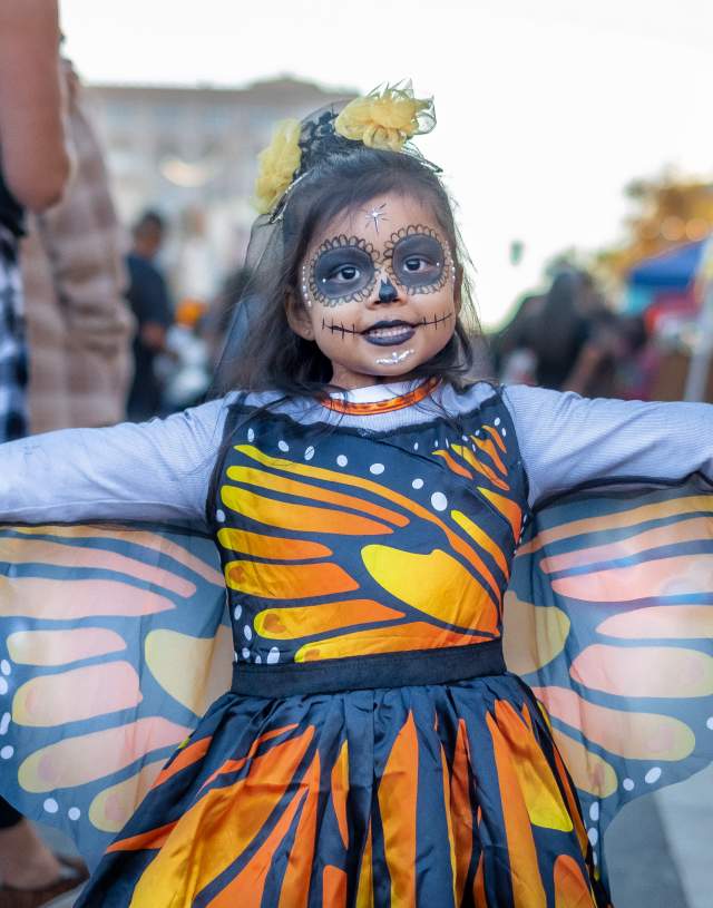 Día de los Muertos in Santa Ana: Event Guide, History, and Cultural Celebration