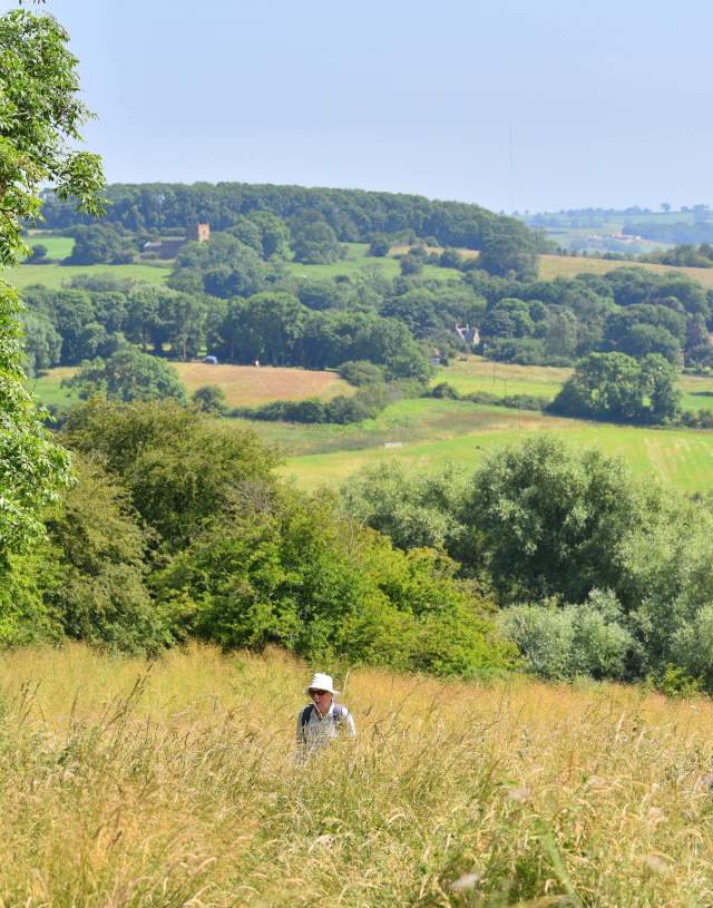 a man walking through a field in countryside