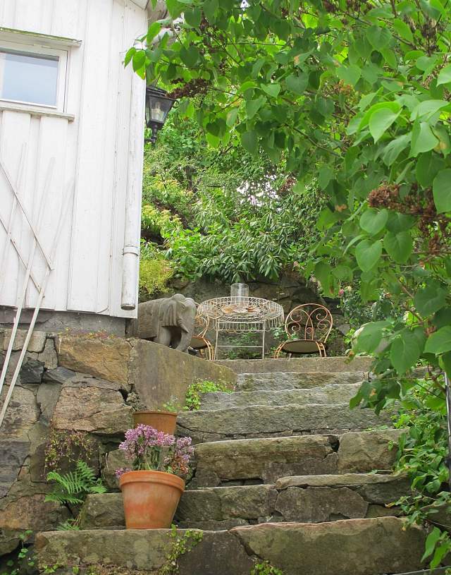 trapp med grønn busk