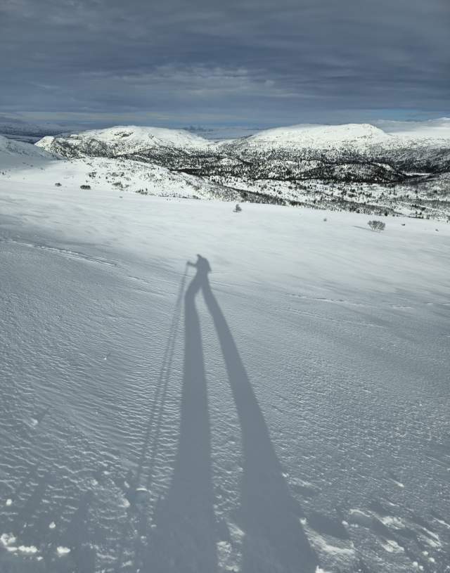 skikjører