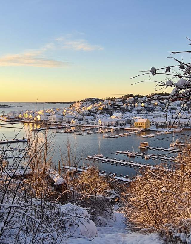Utsikt over Risør havn i vinter