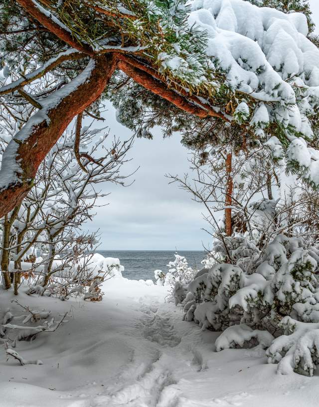 Snø bildet fra raet nasjonalpark