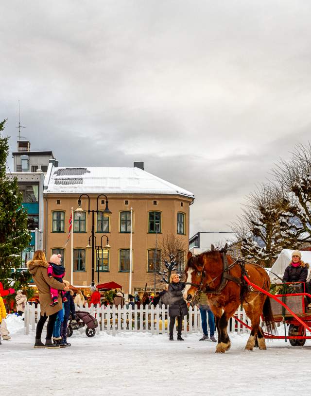 Jul i Arendal