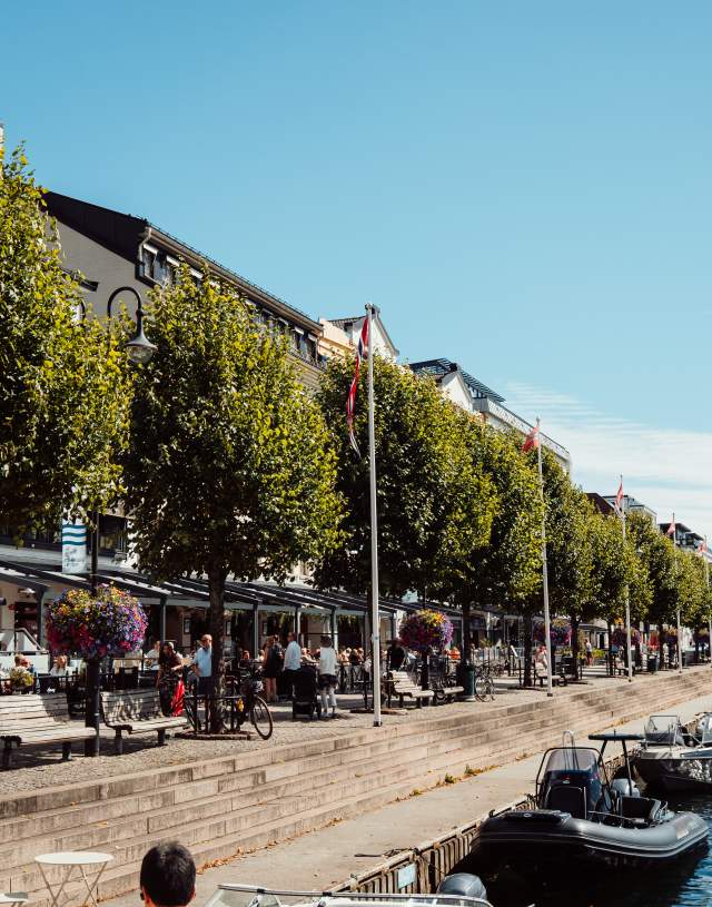 Arendal vårbilde Pollen