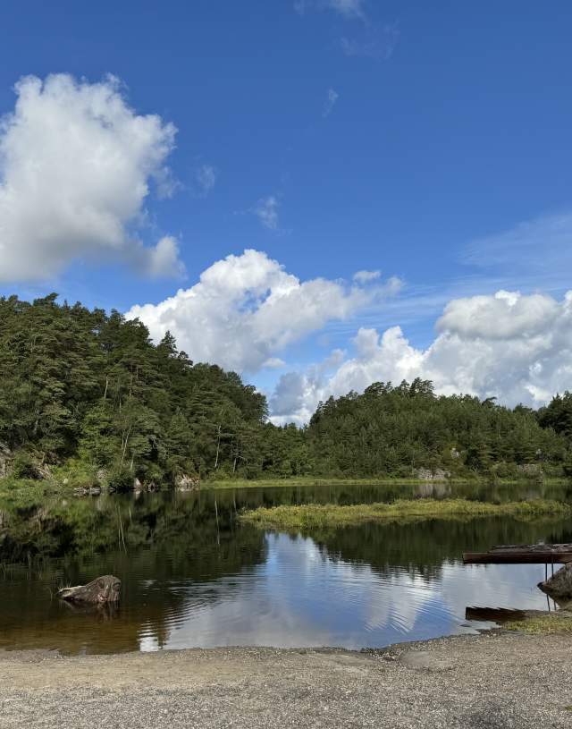 Glubetjønna