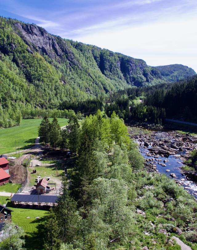 dronebilde av natur