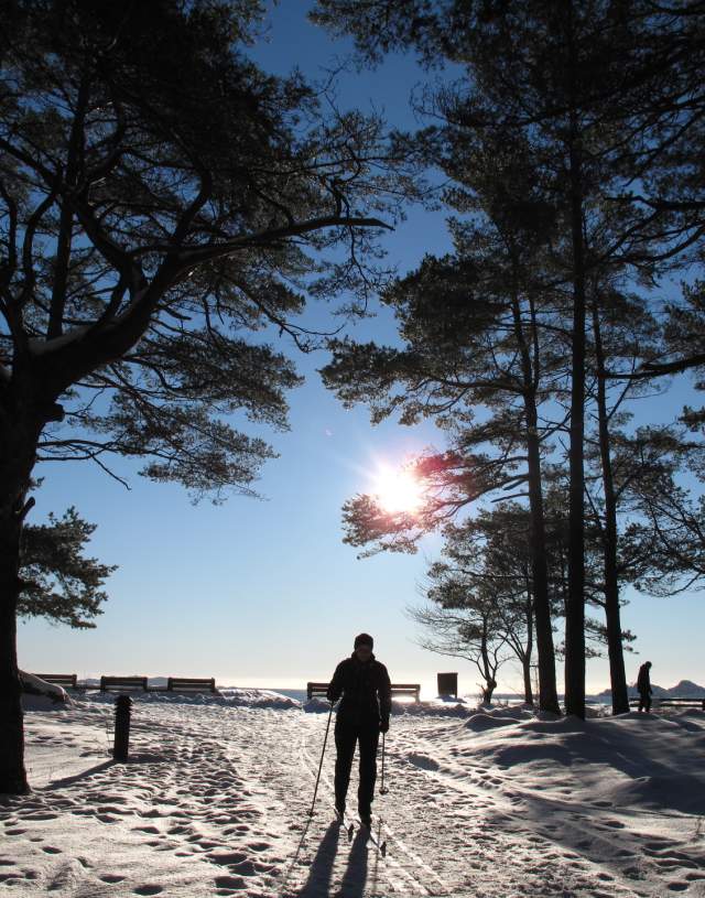 Person som går på ski ut mot stranda i Furulunden