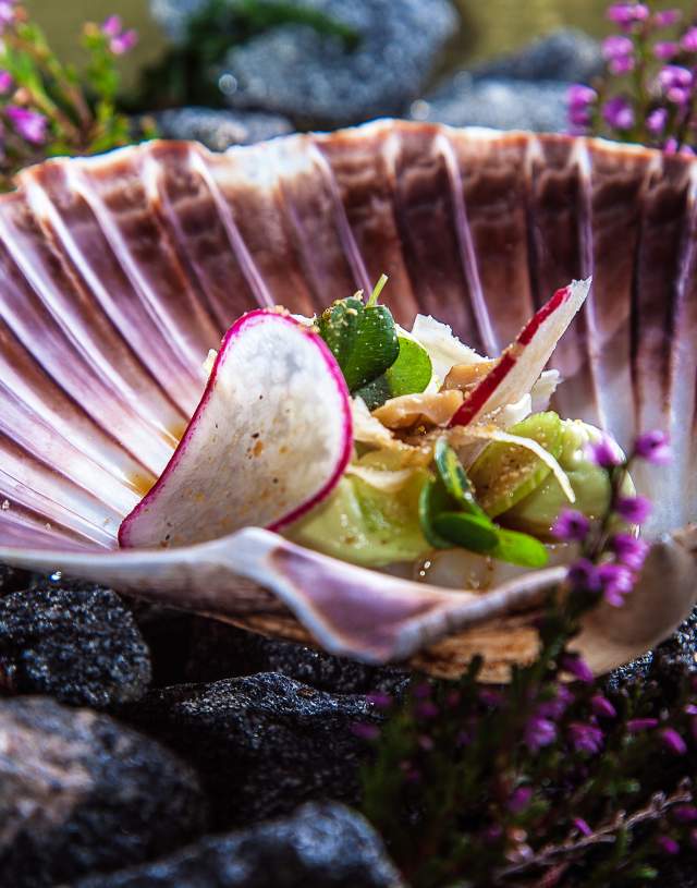 Clamshell Lindesnes Havhotell