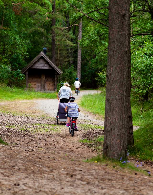 Familie på sykkeltur i Furulunden