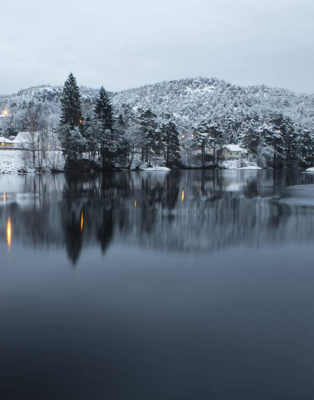 A river with some trees in the backgound covered with snow