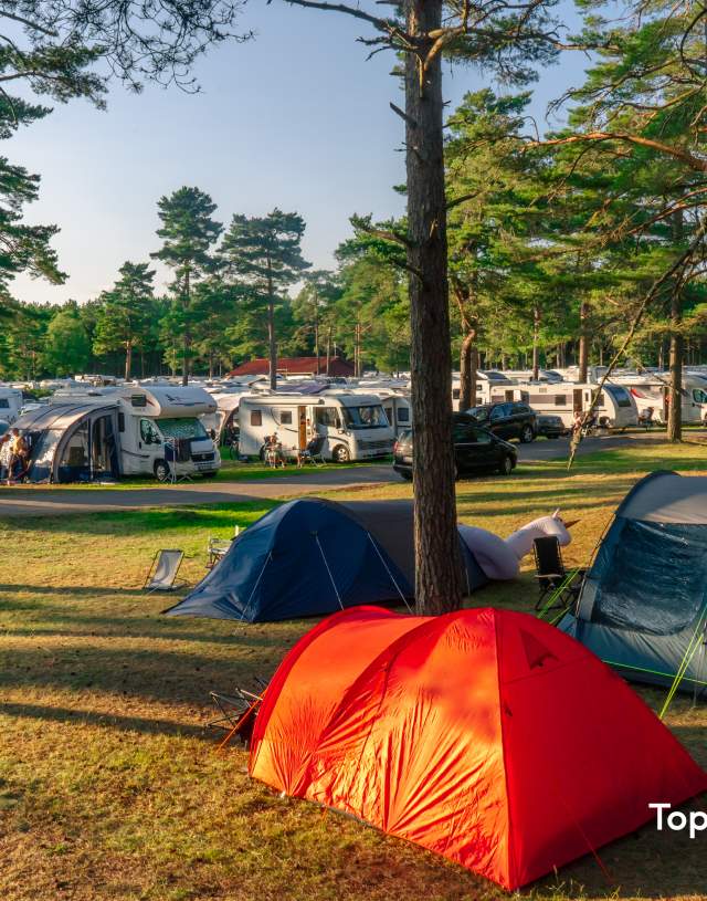 Telt og camping på Topcamp Sjøsanden