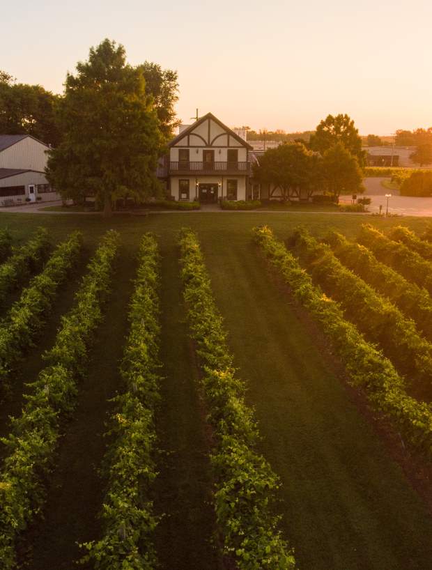 Where to Find the Best Fall Drinks in Clarksville