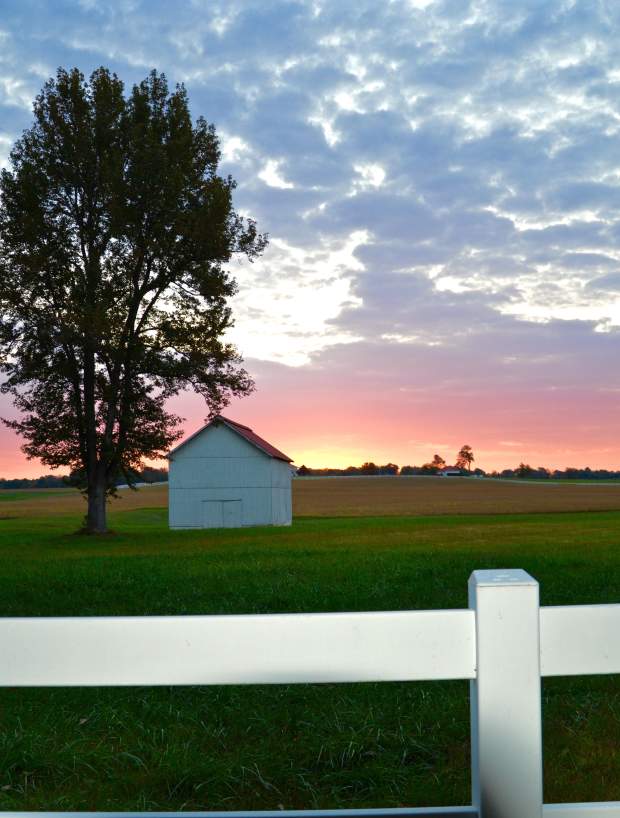 The Scenic Route: A Road Guide Through Clarksville’s Prettiest Backroads