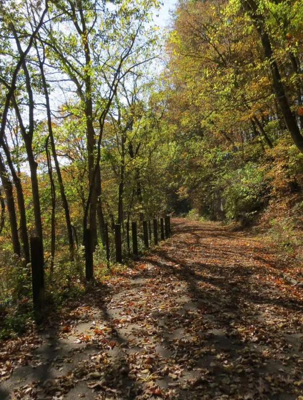 Clarksville's Best Trails, Parks & Recreation