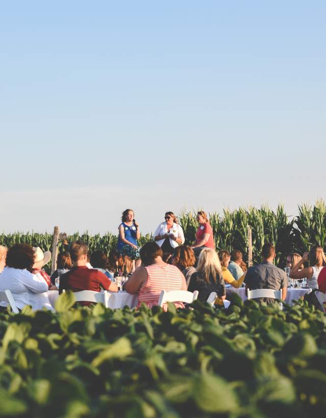 group of people gathering in a corn field