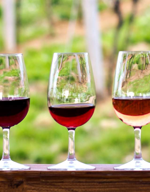 line of various wine types in wine glasses in a row