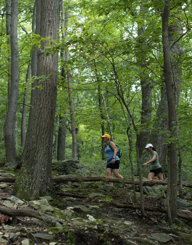 Two women hiking among the trees at Catoctin Mountain Park