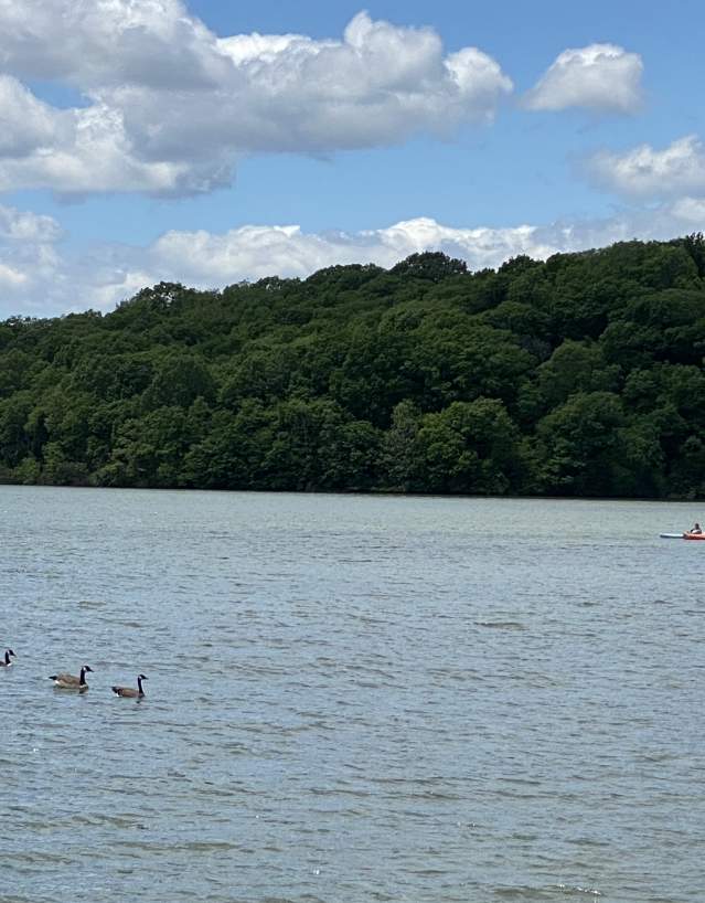 Kansas City, KS Parks Guide