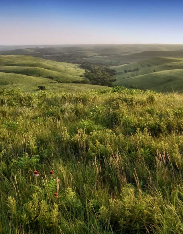 Flint Hills