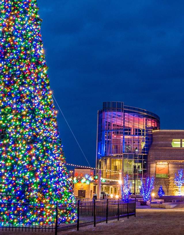Tree in Blue Earth Plaza