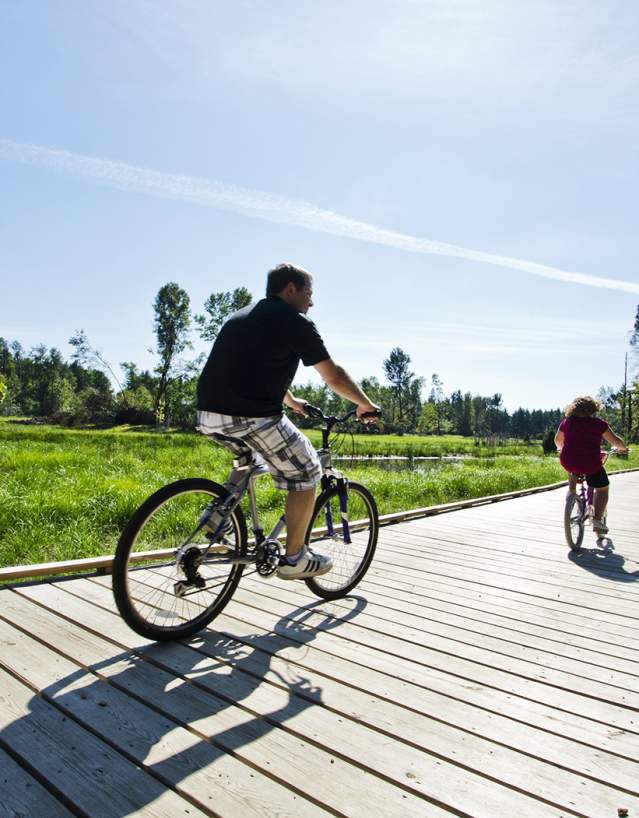 DTN - Media Kit - HI