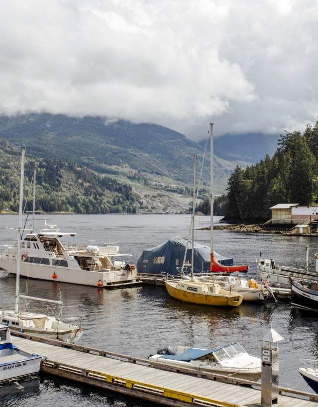 Boats in the harbour.