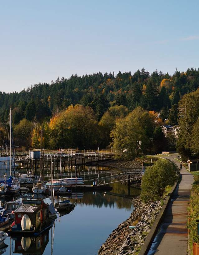 A view of boats in the harbour and yellow and green trees along the path and hillside.