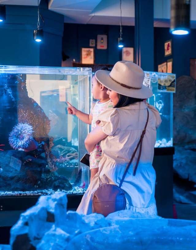 A woman holds her child up to view marine life in an aquarium tank.