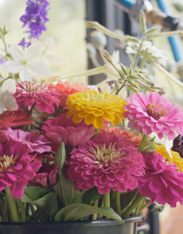 A bucket full of colourful flowers.