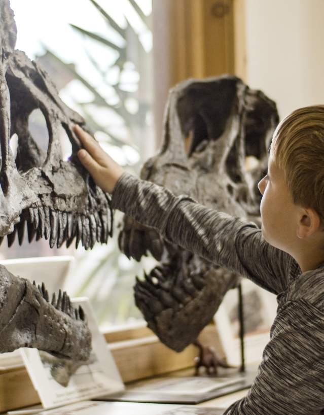 Discover the ancient secrets of Wyoming’s backyard at the Big Horn Basin Geoscience Center. Located in the heart of Greybull, this kids’ museum is more than just exhibits. From hands-on fossil displays to insights into the famous Red Gulch Dinosaur Tracksite, it’s the perfect launchpad for little explorers and aspiring geologists. Come see why Big Horn County is the ultimate destination for family discovery!