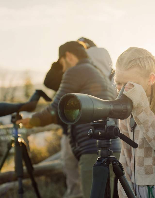 Grand Teton National Park, Jackson Hole, Family Wildlife Viewing