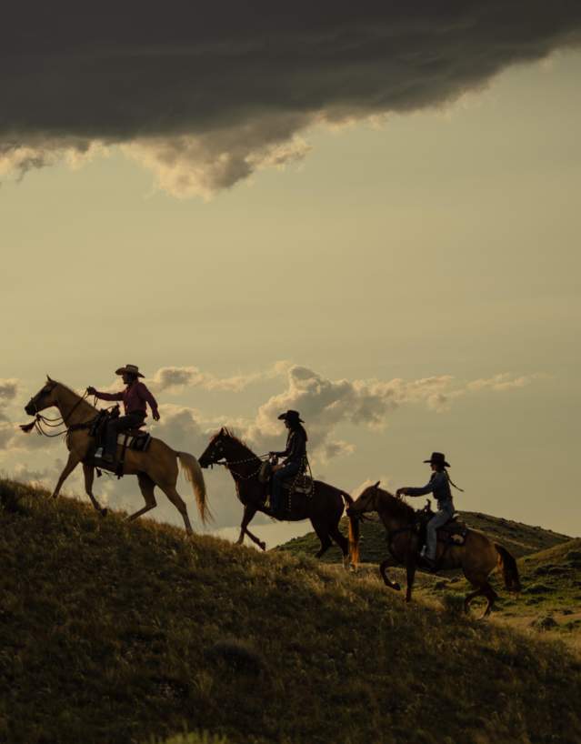 Group riding horses on the range.