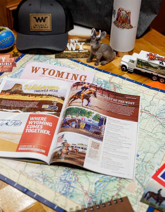 Official Wyoming Planning Resources