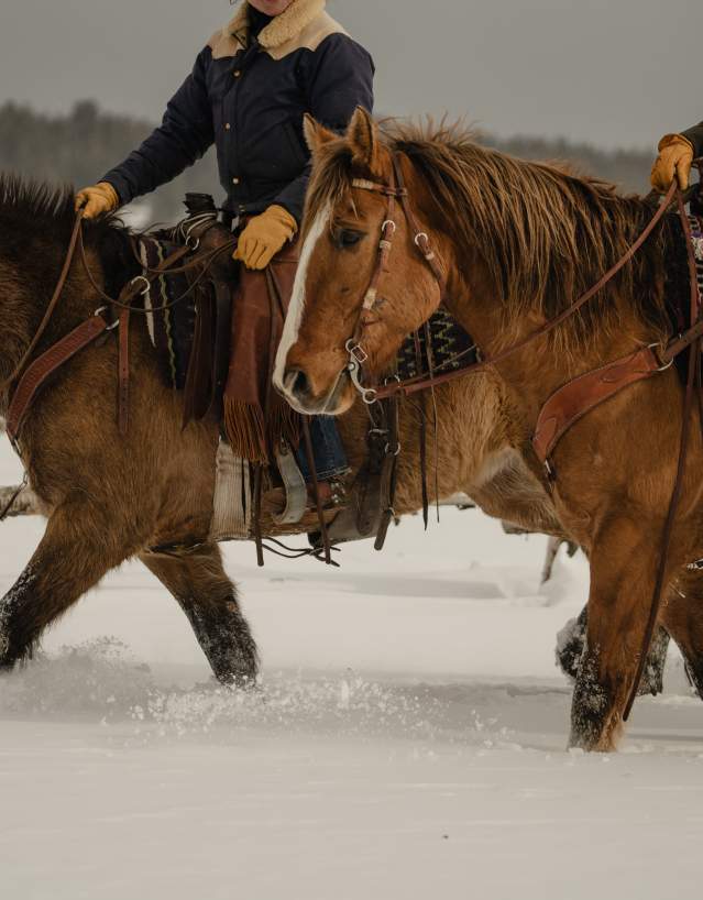 Two horseback riders travel through deep snow near Jackson, Wyoming. The close-up view of saddled horses, Western riding gear and snow-covered ranch country highlights Wyoming’s ranching heritage and winter horseback riding traditions.