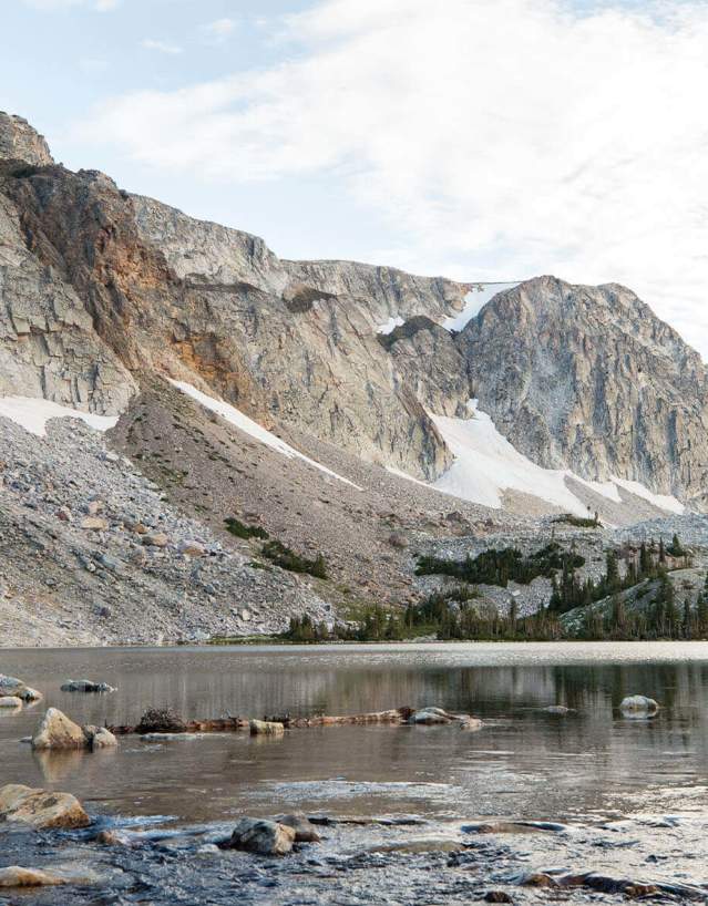 Medicine Bow