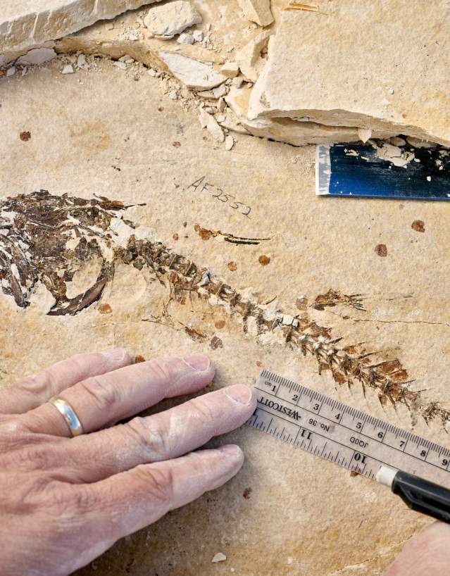 Arvid Aase, Fossil Butte National Monument, Kemmerer, Modern Explorers, Wyoming quarry