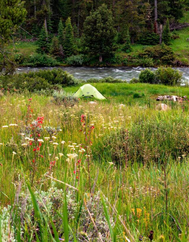 Last-Minute Campsites near National Parks in Wyoming