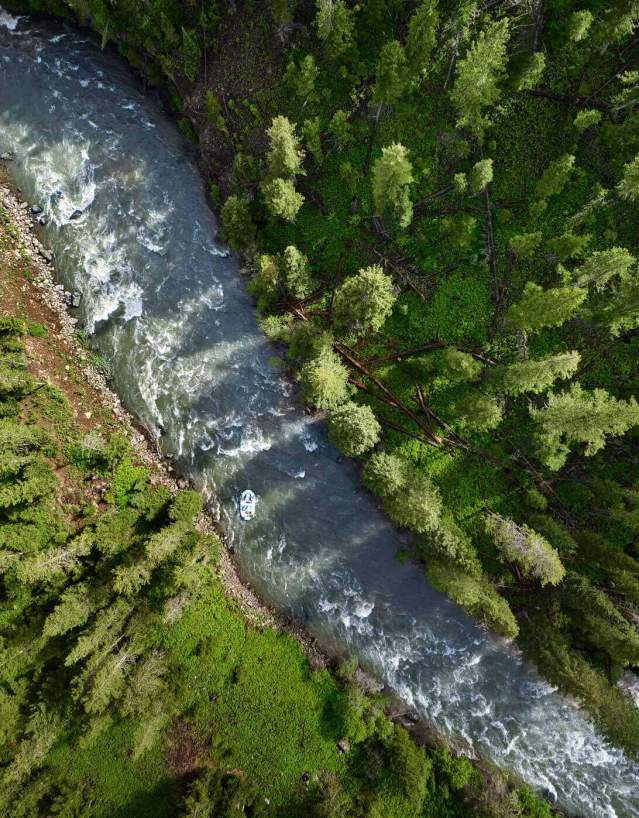 Aerial view of a flowing, curved river dividing a forest filled with trees