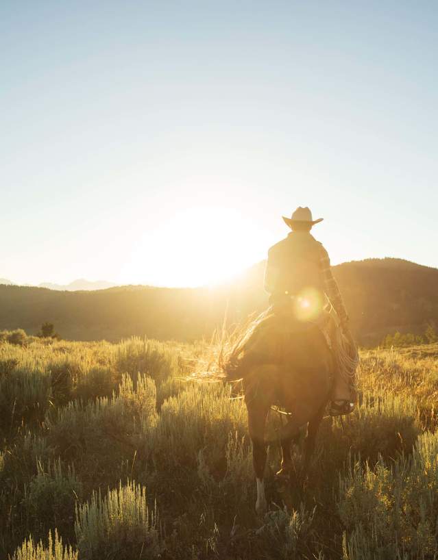 Cowboys on horseback riding through an open Wyoming landscape under a sunny sky.